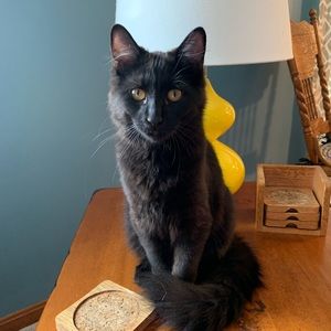 Meet your Posher, Beth